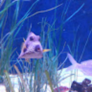 Meet your Posher, William